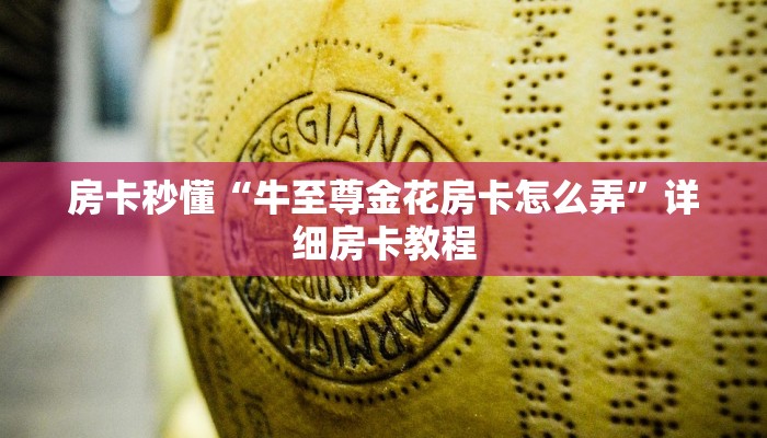玩家辅助神器wePoker确实有挂(透视)-详细透视教程