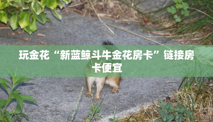 三分钟科普(wePoker)确实有挂(原来真的能开挂)