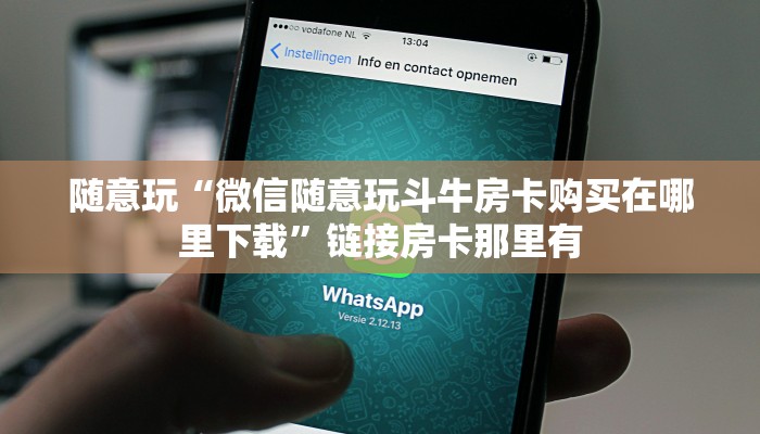 随意玩“微信随意玩斗牛房卡购买在哪里下载”链接房卡那里有