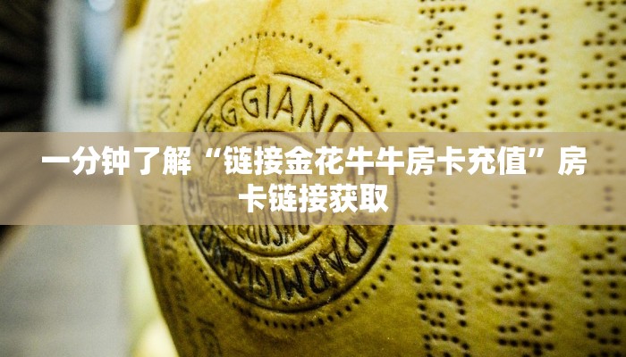 使用分享wepoker辅助透视挂详细开挂教程