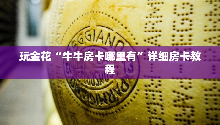 玩家必备wepoker确实可以透视的-最新辅助详细教程