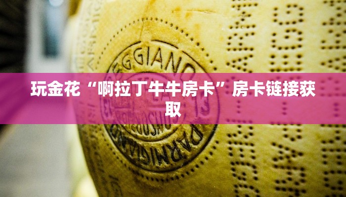 玩家必备wepoker德州作弊详细-最新辅助详细教程