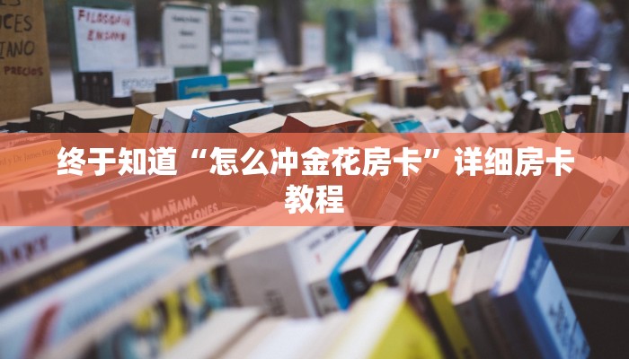 辅助神器新版德扑之星透视开挂(原来真的能开挂)