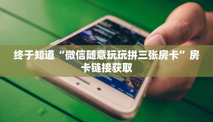 使用分享wepoker辅助透视(透视)详细教程