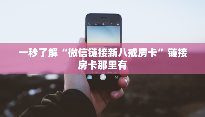 使用分享WEPoKeR透视辅助器(透视)功能”学会包赢