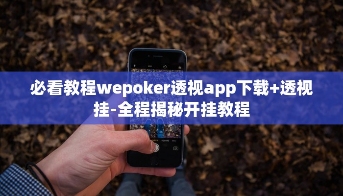 必看教程wepoker透视app下载+透视挂-全程揭秘开挂教程