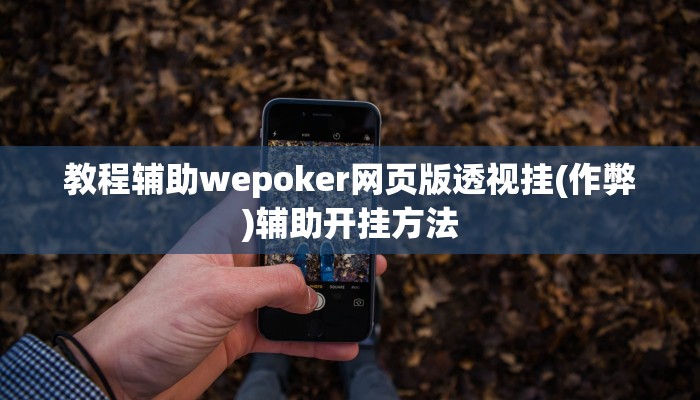 实测辅助wepoker德州辅助软件详细开挂教程