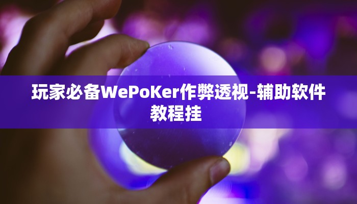 辅助神器WEPoKeR透视辅助器(作弊)”附开挂脚本详细教学