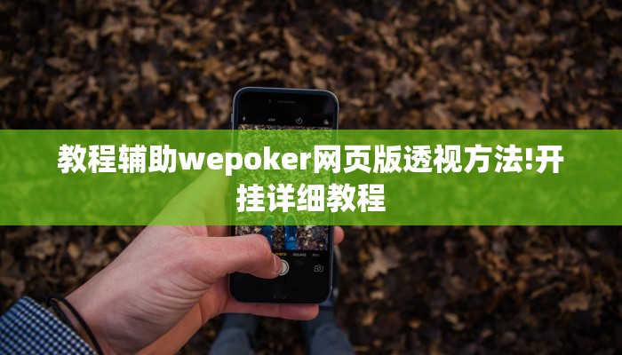 教程辅助wepoker网页版透视方法!开挂详细教程
