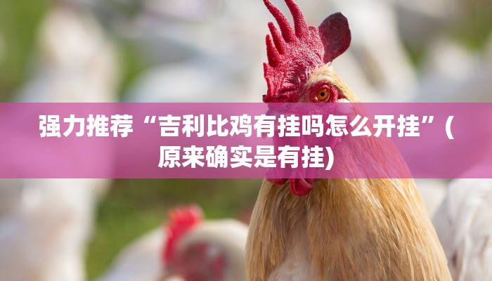 实测辅助wepoker德州辅助软件 详细开挂教程