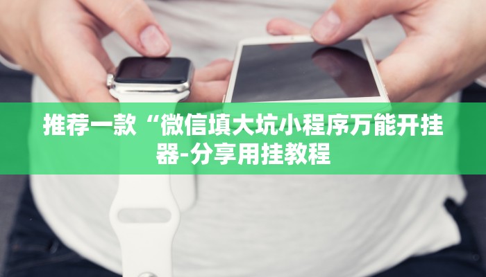 推荐一款“微信填大坑小程序万能开挂器-分享用挂教程