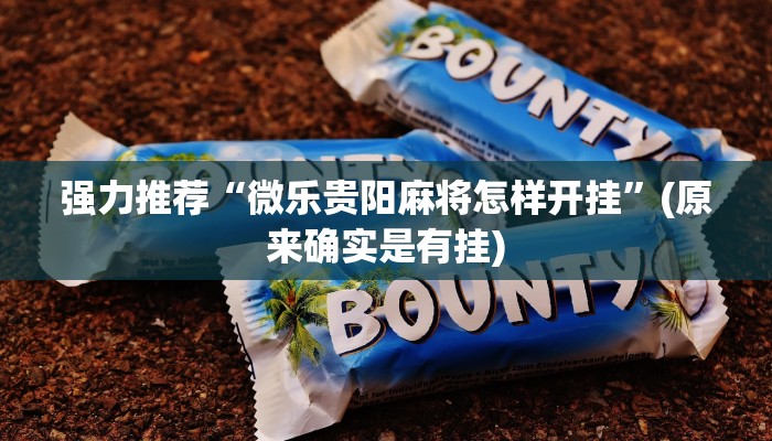 使用分享wepoker辅助作弊(透视)详细教程