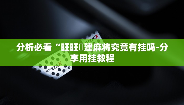 使用分享WePOKer辅助透视外挂(详细开挂教程