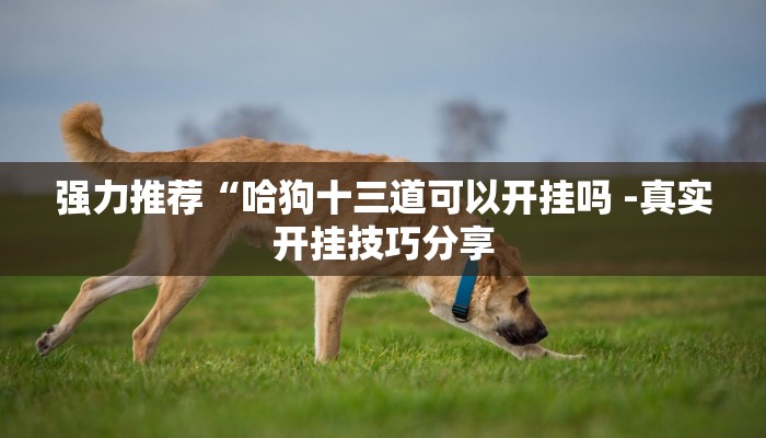 原来才知道wepoker私人局透视挂真的(原来真的能开挂)