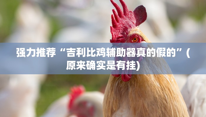 实测辅助(wePoker)确实有没有挂(详细开挂教程