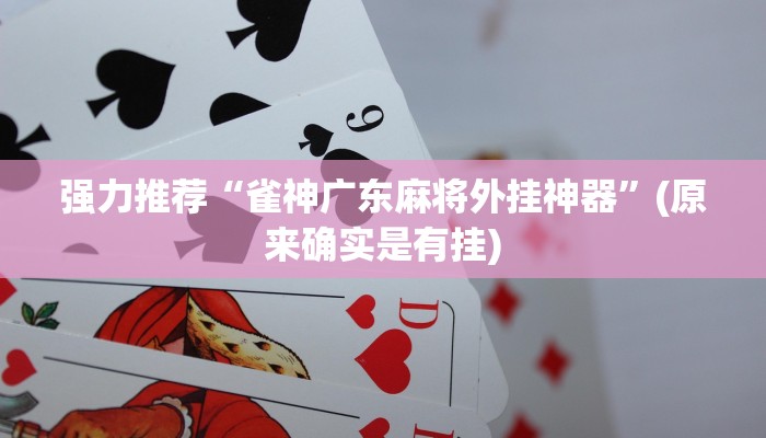 三分钟科普wepoker德州辅助软件 (透视)详细教程