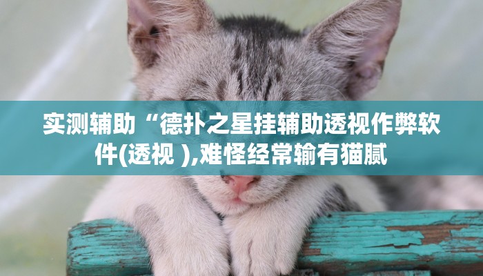 实测辅助wepoker辅助器透视挂(详细开挂教程