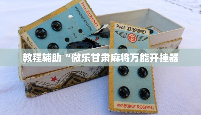 实测辅助wepoker透视挂真的吗(详细开挂教程