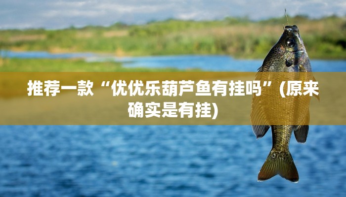-分钟科普wepoker辅助器(作弊)”附开挂脚本详细教学