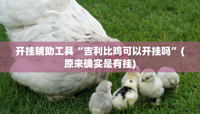 -分钟科普wepoker作弊透视(详细开挂教程