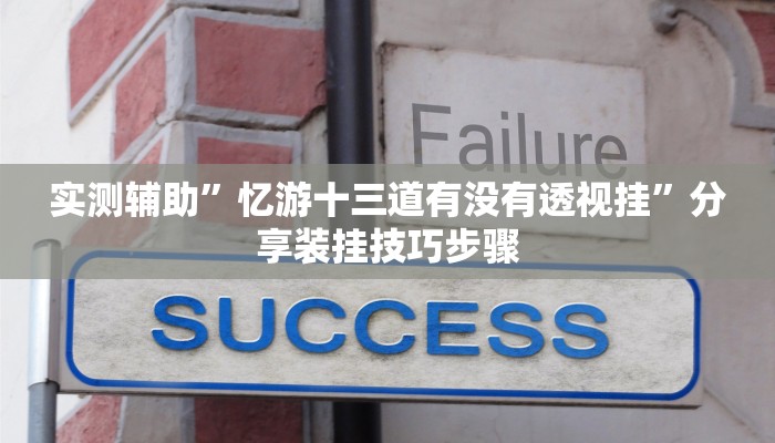 实测辅助”忆游十三道有没有透视挂”分享装挂技巧步骤