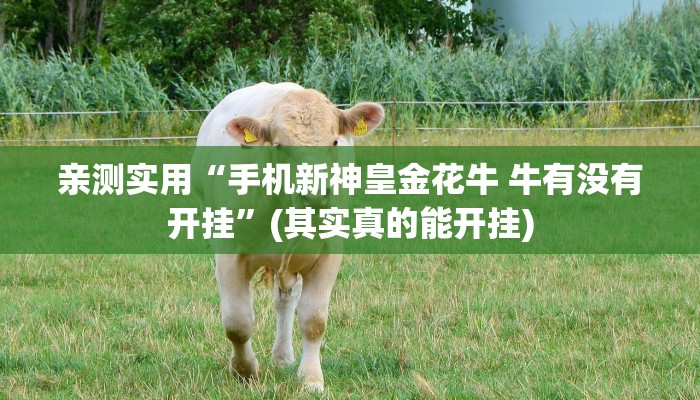 正规开挂“手机决战卡五星开挂控制好牌器”(的确真的有挂)