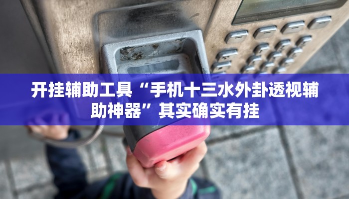 开挂辅助工具“手机十三水外卦透视辅助神器”其实确实有挂