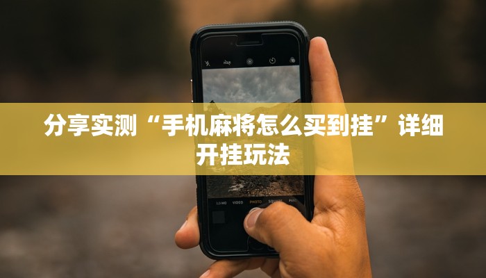 实测辅助wepoker软件作弊挂(原来真的能开挂)