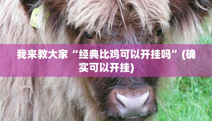 辅助神器“方片十三张真的有辅助吗”其实确实有挂