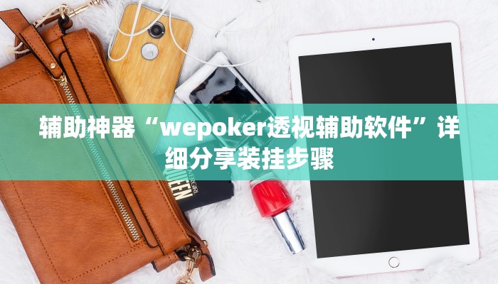 辅助神器“wepoker透视辅助软件”详细分享装挂步骤