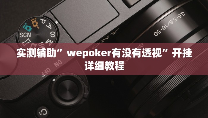 实测辅助”wepoker有没有透视”开挂详细教程