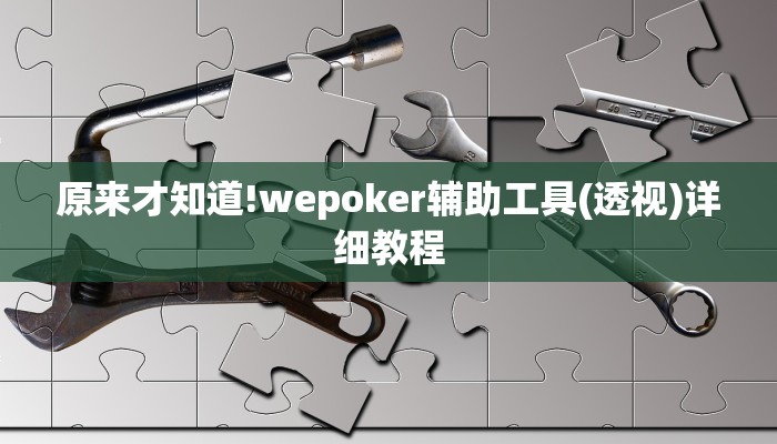 使用分享wepoker是不是有透视(透视)详细教程