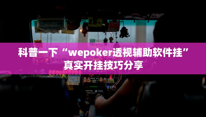辅助神器wepoker开挂辅助作弊(透视)详细教程