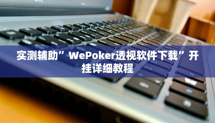 实测辅助”WePoker透视软件下载”开挂详细教程