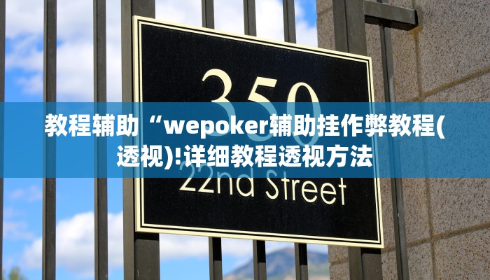 辅助神器德扑之星作弊透视辅助(辅助外挂+教程
