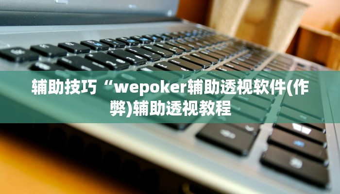 辅助技巧“wepoker辅助透视软件(作弊)辅助透视教程