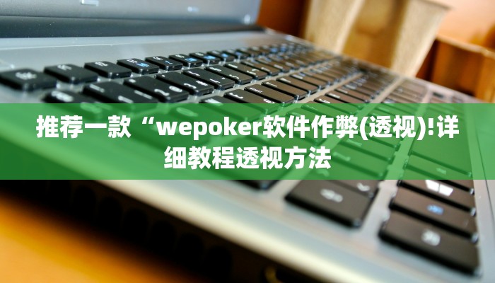 推荐一款“wepoker软件作弊(透视)!详细教程透视方法