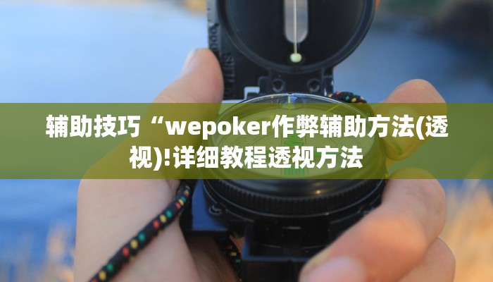 辅助技巧“wepoker作弊辅助方法(透视)!详细教程透视方法