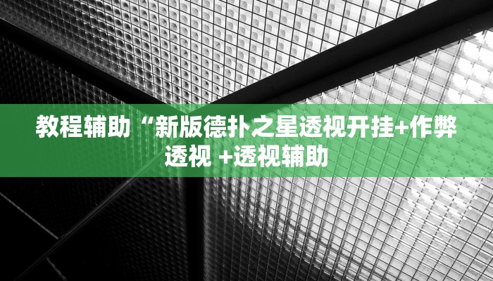 辅助神器WePoKer开挂透视辅助详细教程(透视)详细教程