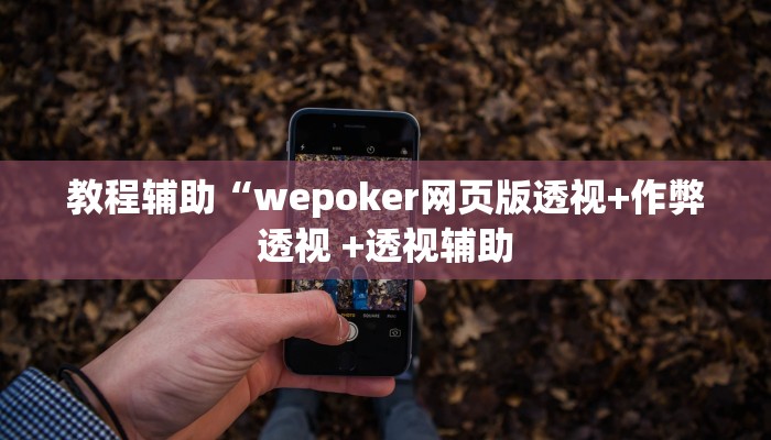 辅助神器wepoker透视开挂(透视)功能”学会包赢