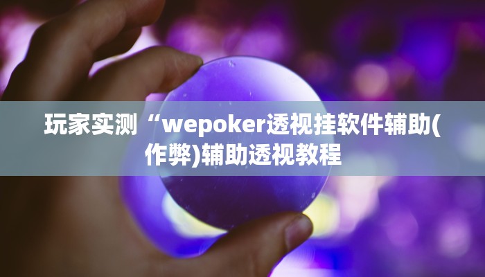 辅助神器wepoker德州作弊详细详细开挂教程