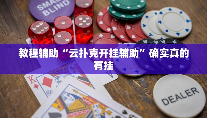 使用分享德扑之星辅助器(辅助外挂+教程