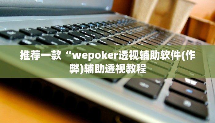 辅助神器wepoker透视挂试用版(辅助外挂+教程