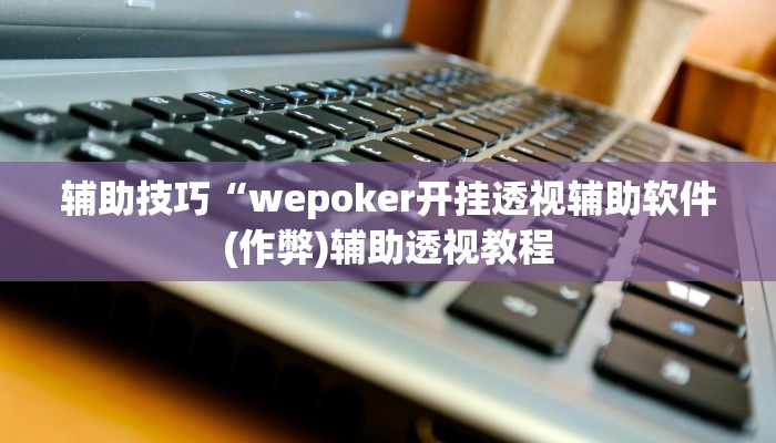 实测辅助wepoker透视挂作弊开挂(辅助外挂+教程