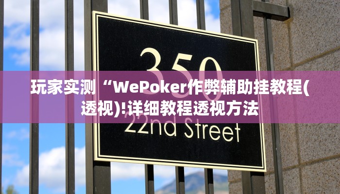 玩家实测“WePoker作弊辅助挂教程(透视)!详细教程透视方法