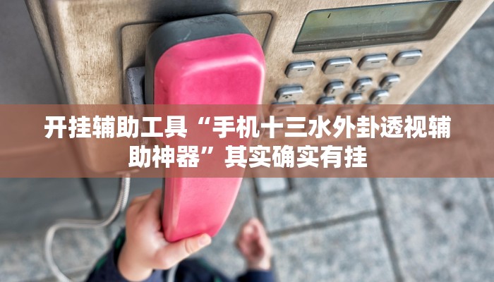 开挂辅助工具“手机十三水外卦透视辅助神器”其实确实有挂
