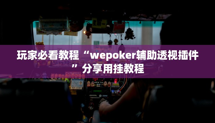 辅助神器wepoker开挂透视(原来真的能开挂)