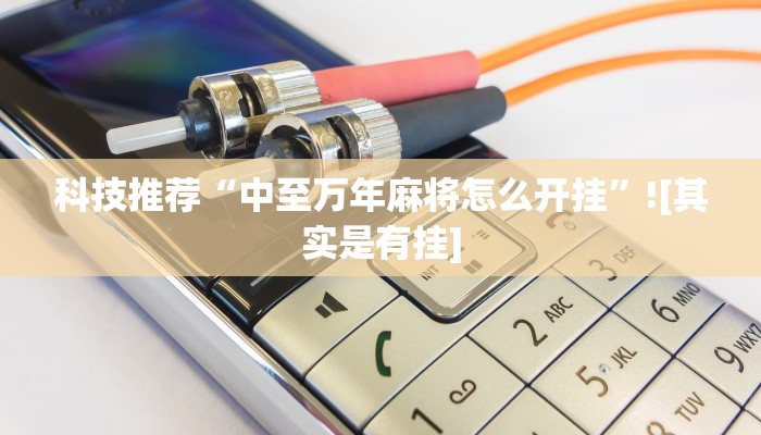 使用分享wepoker德州作弊详细(透视)详细教程