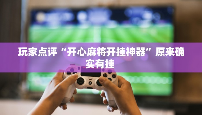 玩家点评“开心麻将开挂神器”原来确实有挂 