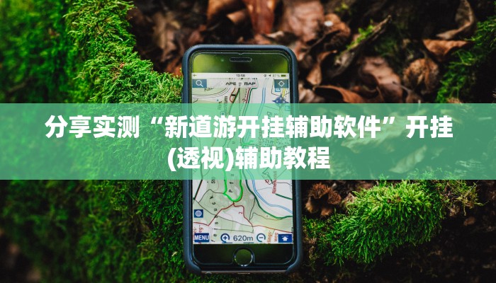 分享实测“新道游开挂辅助软件”开挂(透视)辅助教程
